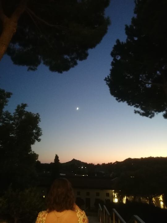 Ausblick TUI BLUE Sarigerme Park