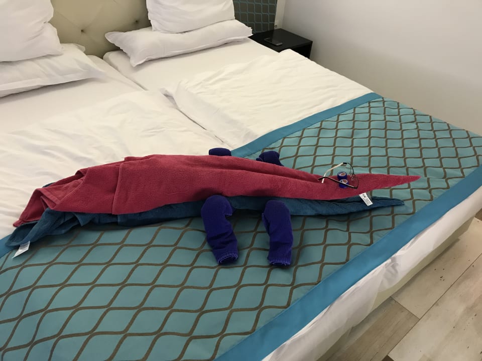 Zimmer Sentido Marea