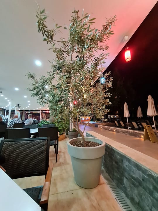 Sonstiges Hane Family Resort