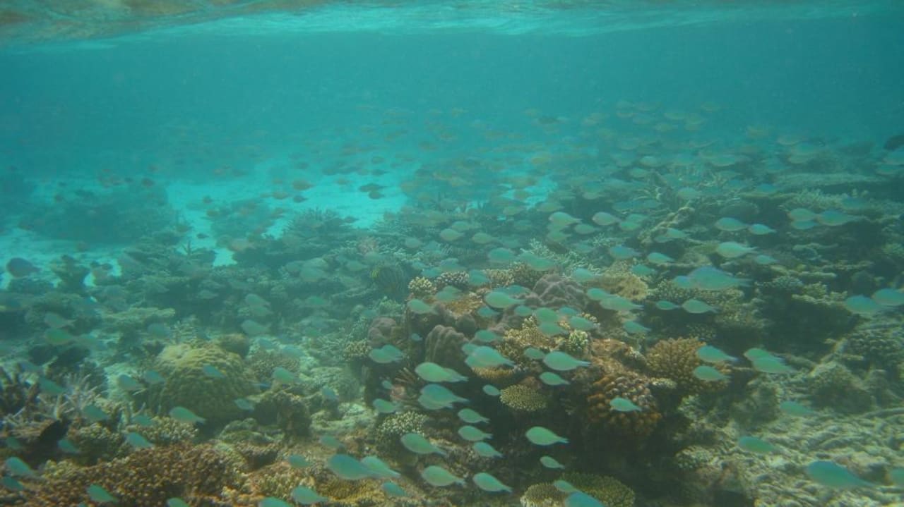 Riff Thulhagiri Island Resort Thulhagiri Island Resort