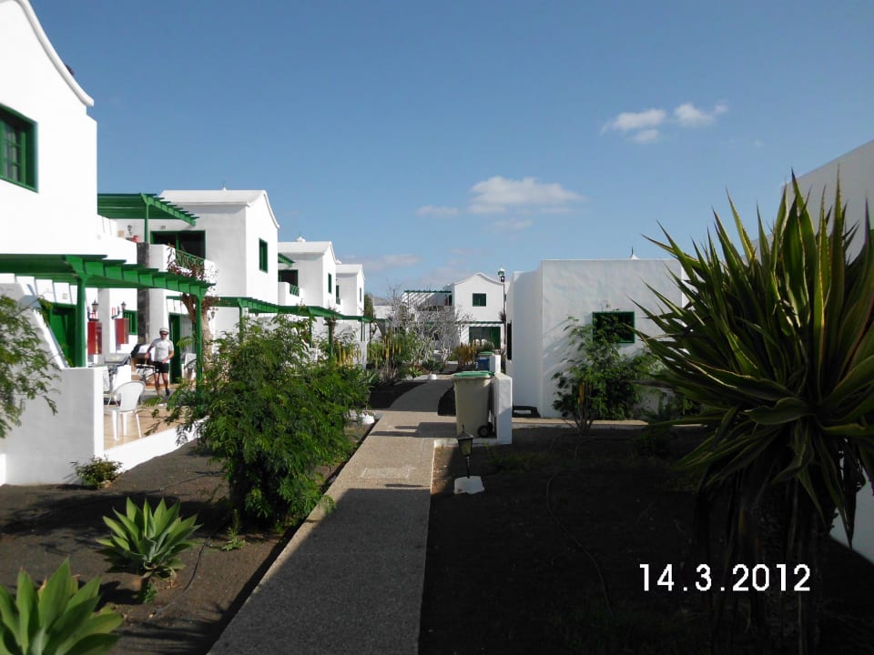 Alle Planzen die Wasser brauchen werden runtergeschnitten Hotel Hyde Park Lane