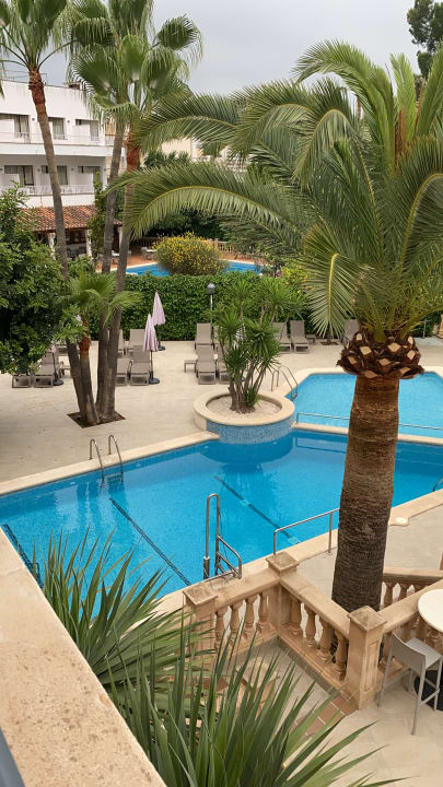 Ausblick FLOR los Almendros Hotel