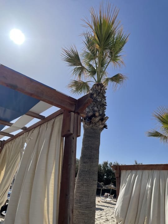 Strand Sahara Beach Aquapark & Resort