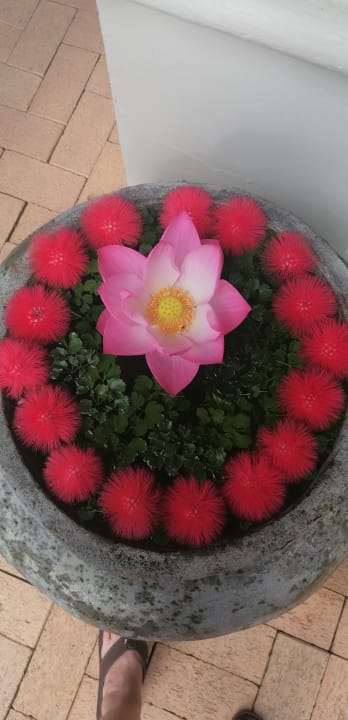 Außenansicht Khaolak Bhandari Resort & Spa