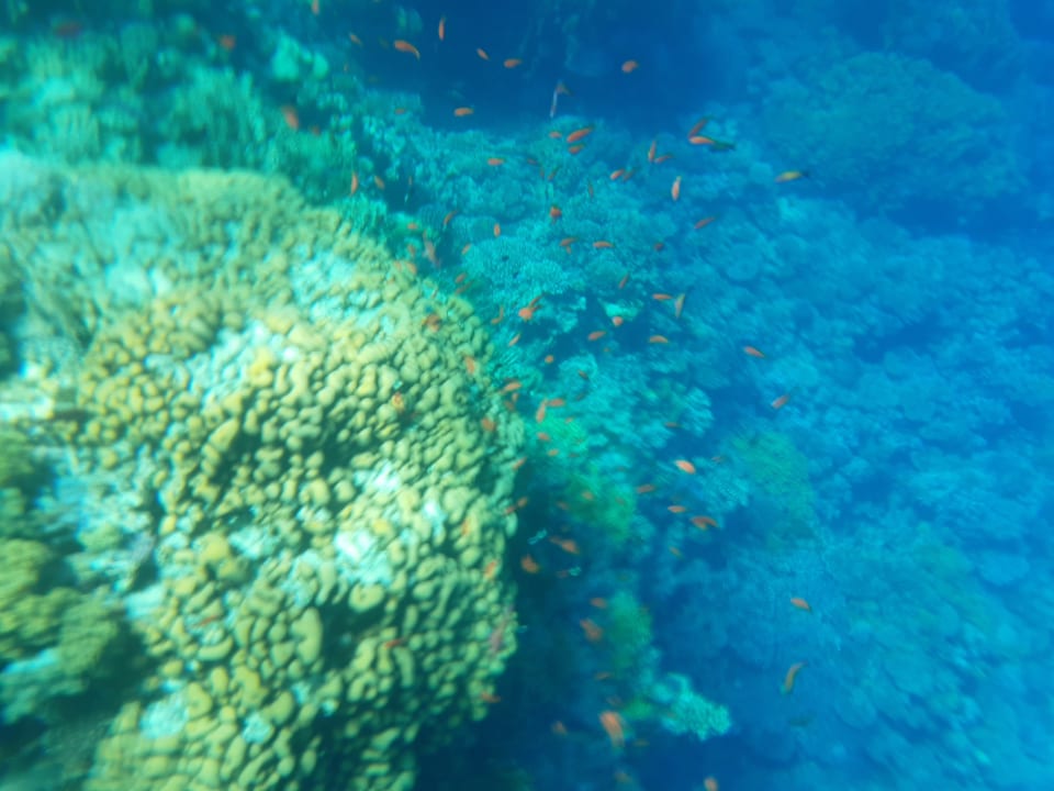 Strand Casa Mare Resort