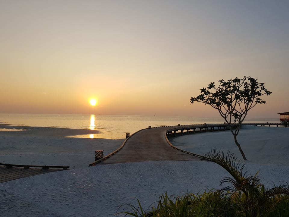 Abendstimmung  OZEN LIFE MAADHOO