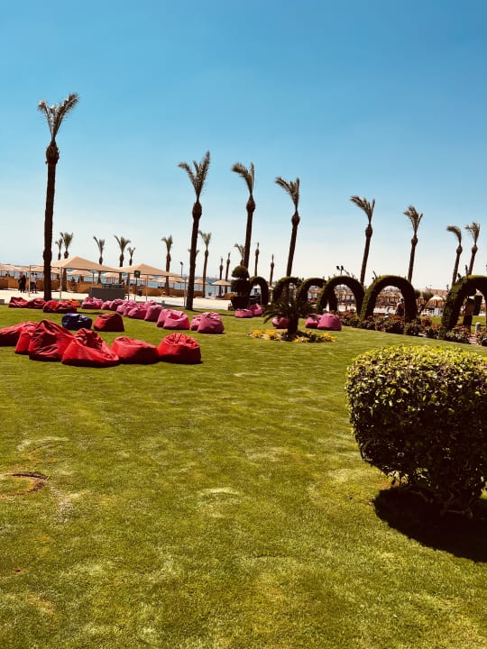 Gartenanlage Pickalbatros Palace Resort