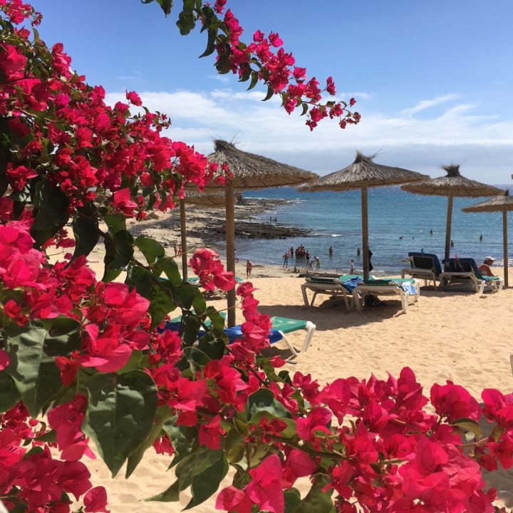 Strand SBH Costa Calma Beach Resort