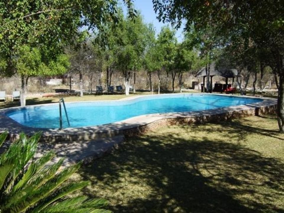Pool Hotel Mushara Lodge