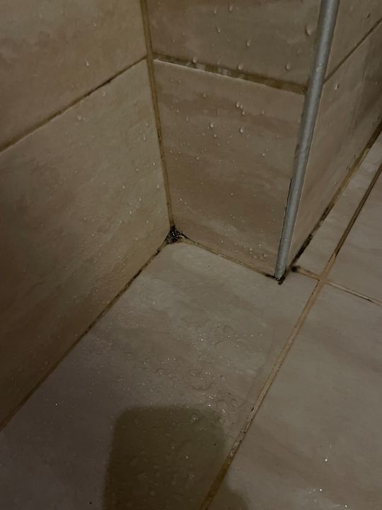 Zimmer Dizalya Palm Garden