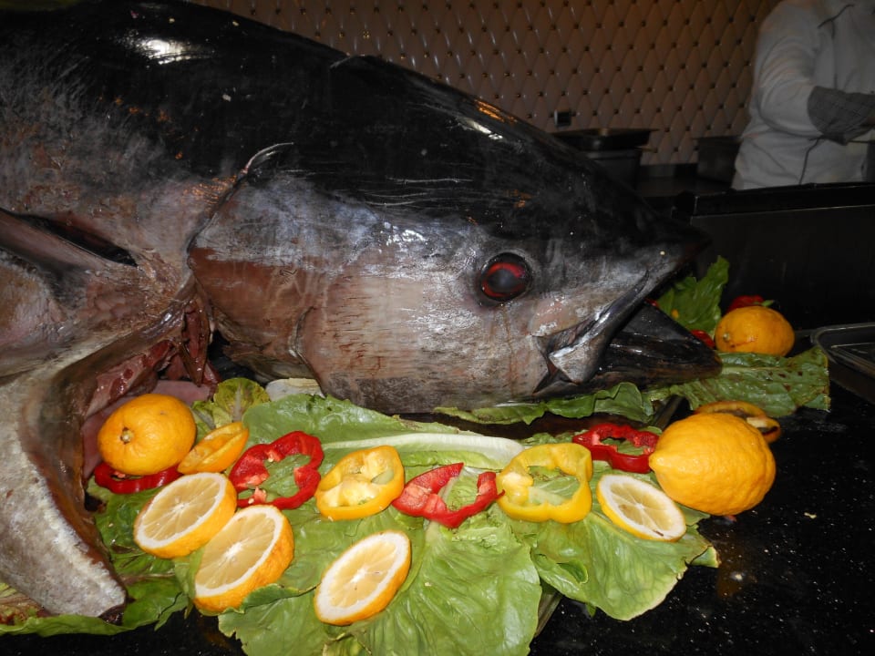 Fisch Abend Royal Alhambra Palace