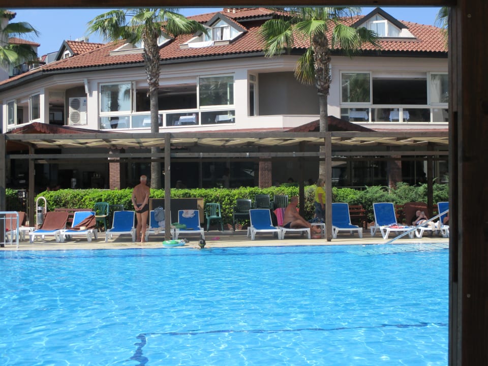 Pool Hotel Orfeus Park