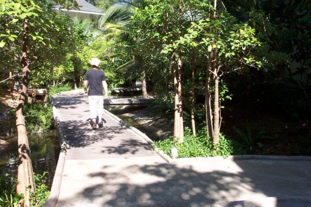 Steg durch die Anlage Hotel Tanaosri Resort & Spa