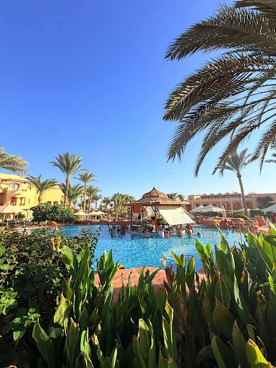 Pool Steigenberger Coraya Beach - Adults only