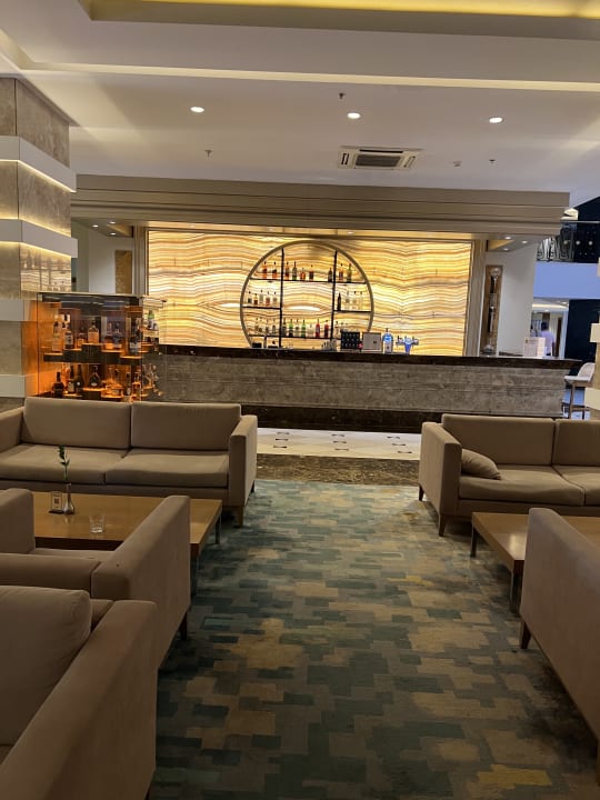 Gastro Papillon Ayscha