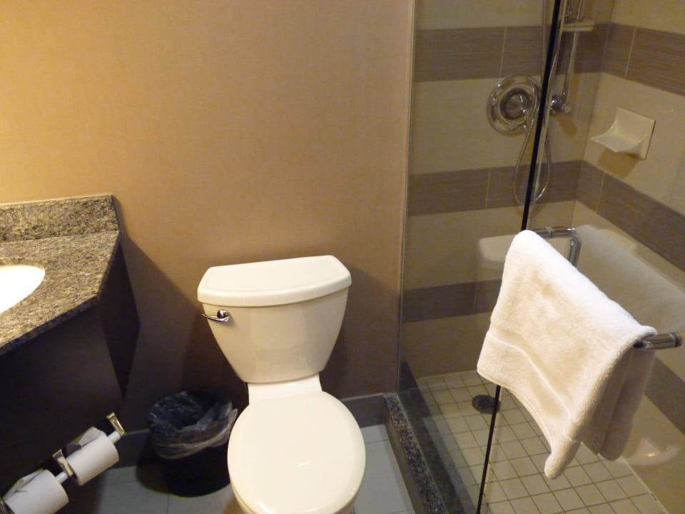 Bad, relativ klein Holiday Inn Toronto Downtown Centre