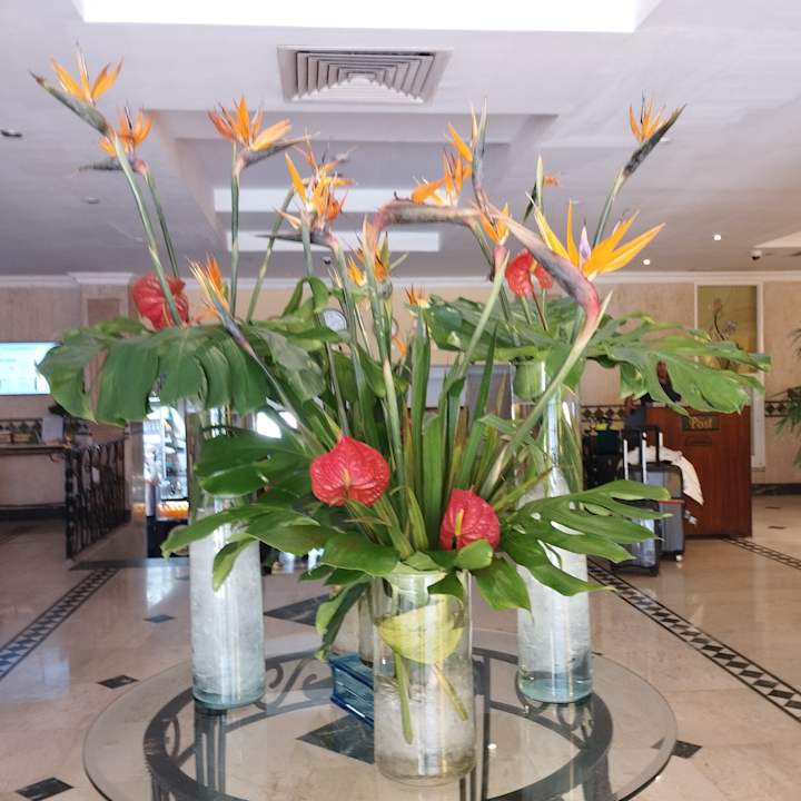 Lobby Bel Air Azur Resort - Adults only