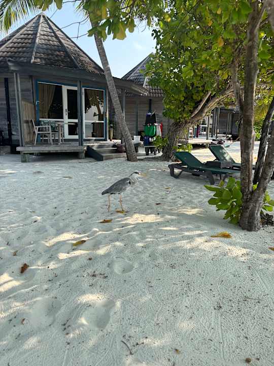 Außenansicht Kuredu Island Resort & Spa