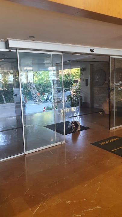 Lobby Elea Beach Hotel