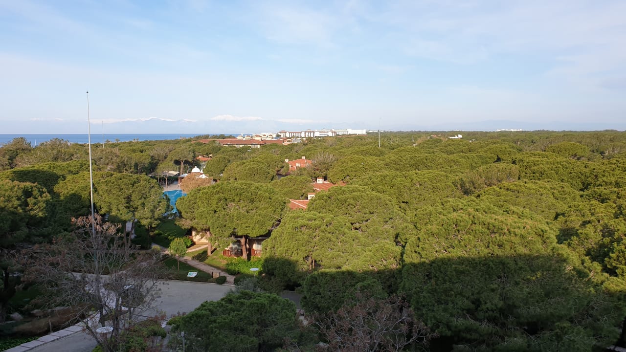 Zimmer Xanadu Resort Hotel