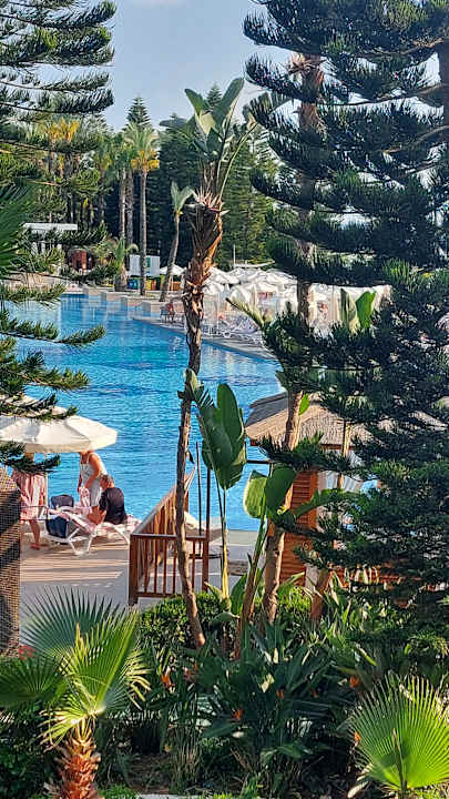 Pool Hotel Delphin Diva