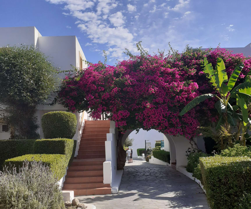 Gartenanlage Mastichari Bay Hotel