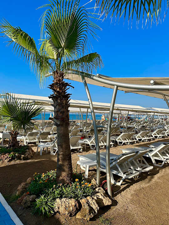 Strand Hotel Delphin Palace