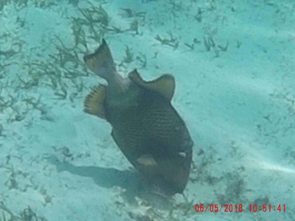 Strand Kuredu Island Resort & Spa