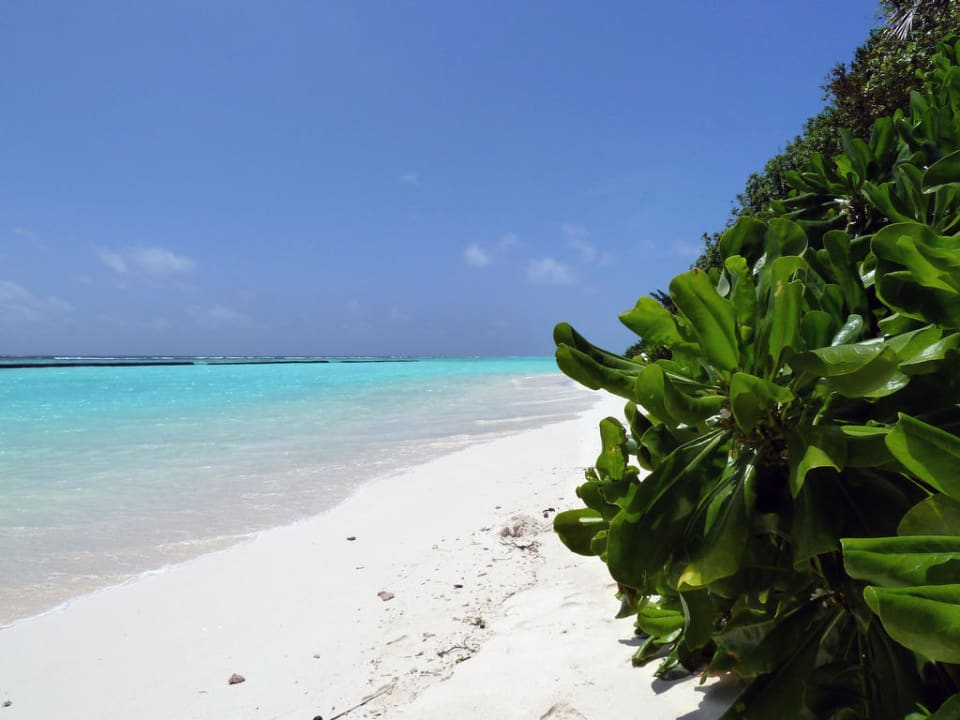 Strand vor den Deluxe Beach Villen Kuramathi Maldives