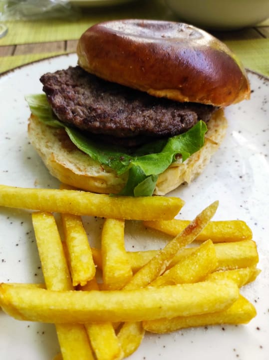 Gastro Acanthus Cennet Barut Collection