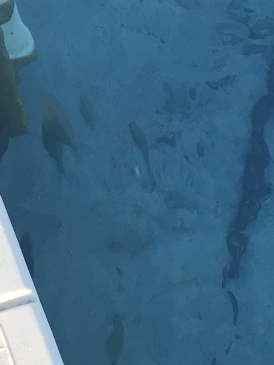 Strand Cocos The Club Solto