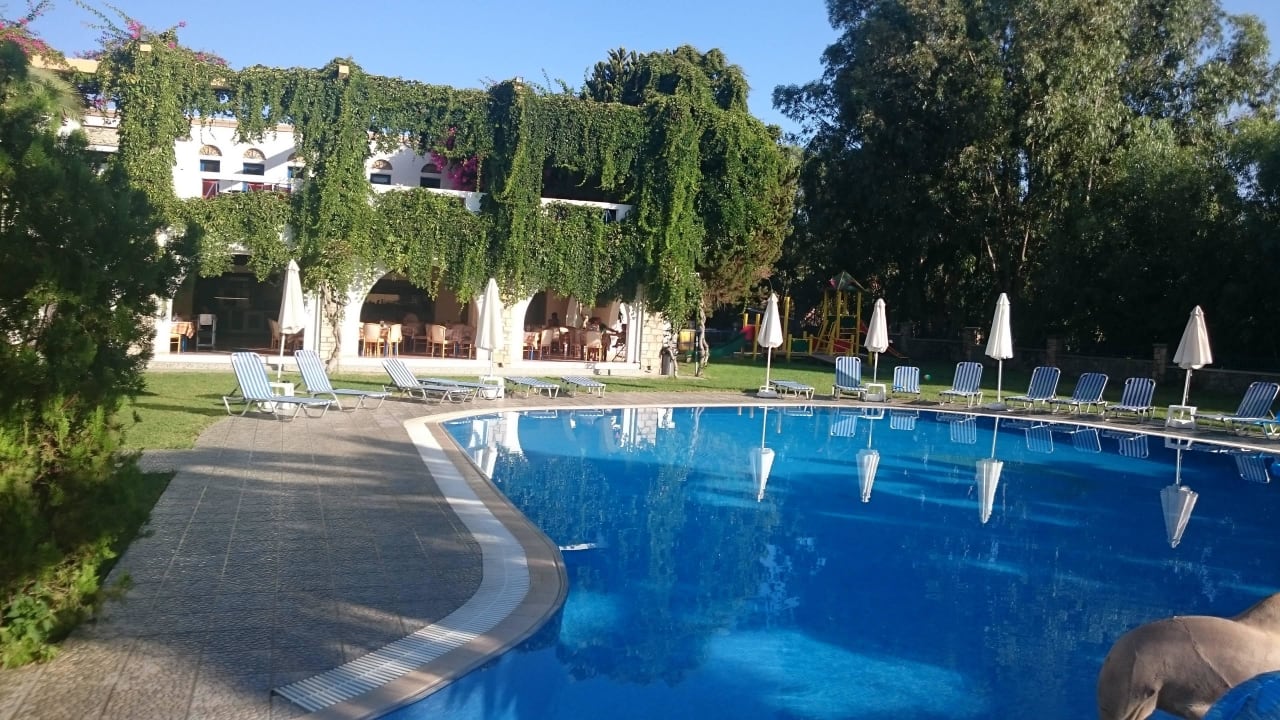 Pool mit Schirmen und Liegen im Hintergrund Restaurant Ekaterini Hotel