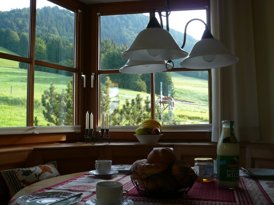 Ausblick von der bayerischen Sitzecke Ferienwohnung Almstüberl