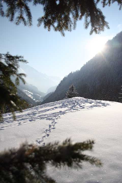 Blick ins hintere Pitztal Gasthaus Pension Schön