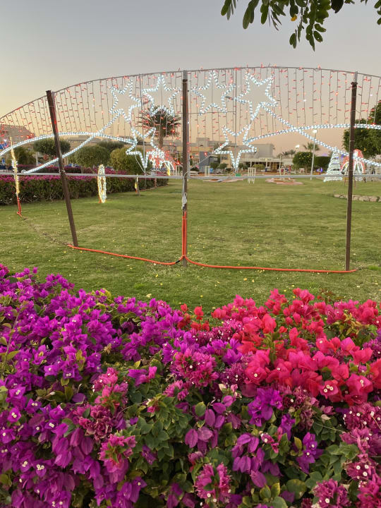 Gartenanlage Pickalbatros Royal Moderna Resort-Sharm El Sheikh
