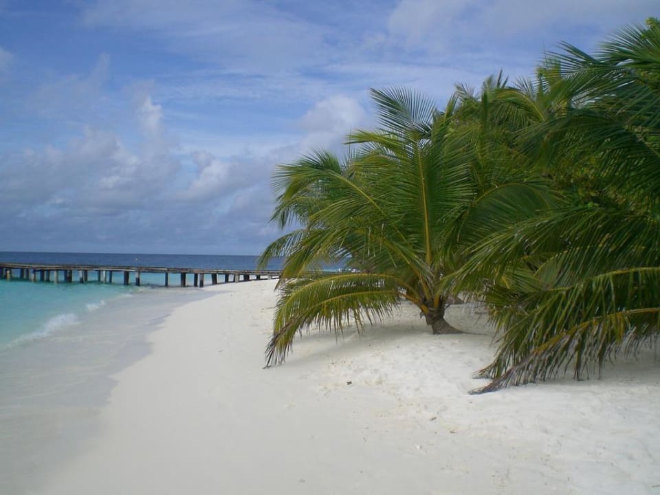 Strand mit Palmen Adaaran Club Rannalhi - All Inclusive