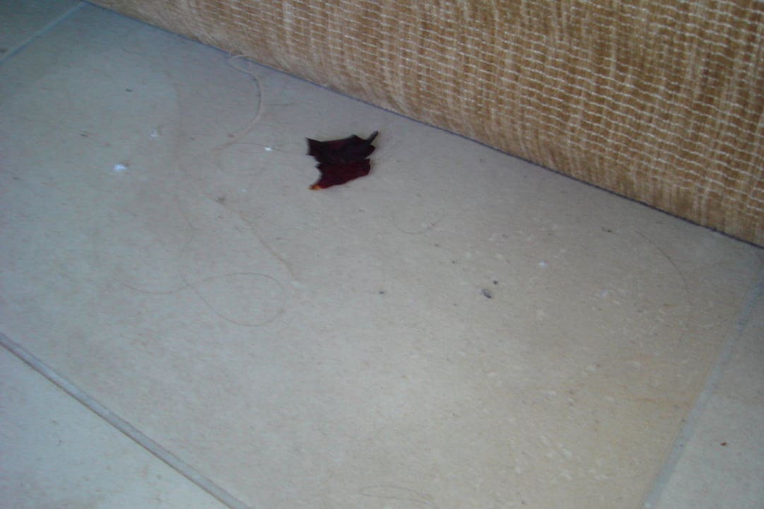 Dreck Hotel Süral Resort