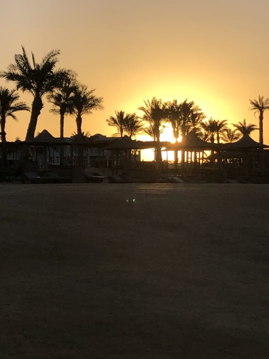 Ausblick Steigenberger Coraya Beach - Adults only