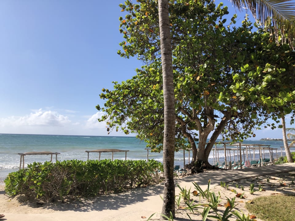 Strand Akumal Bay Beach & Wellness Resort