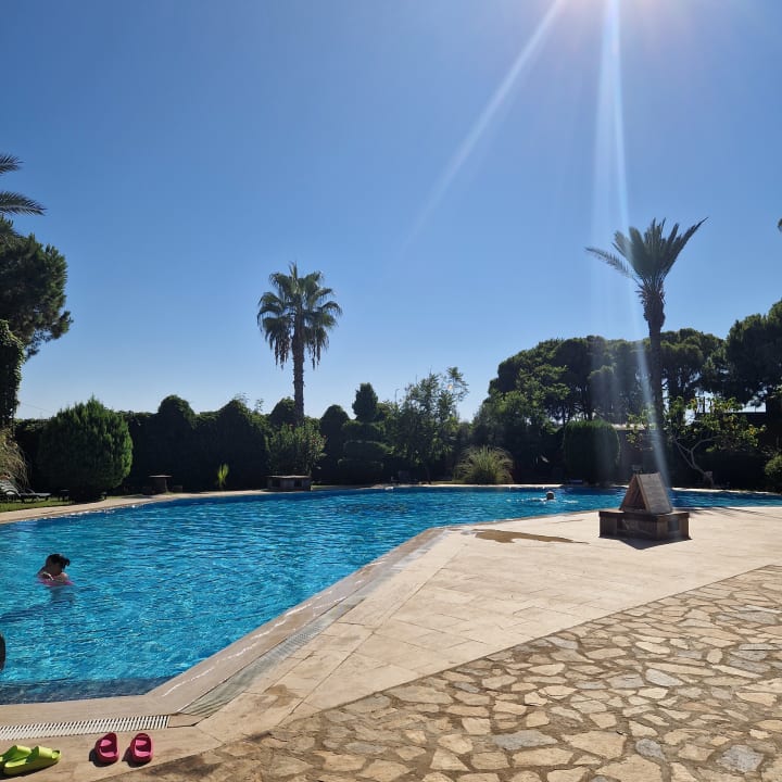 Pool Club Turtas Beach Hotel