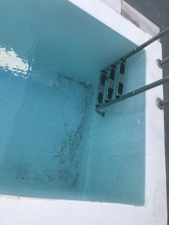 Zimmer Kouros Exclusive