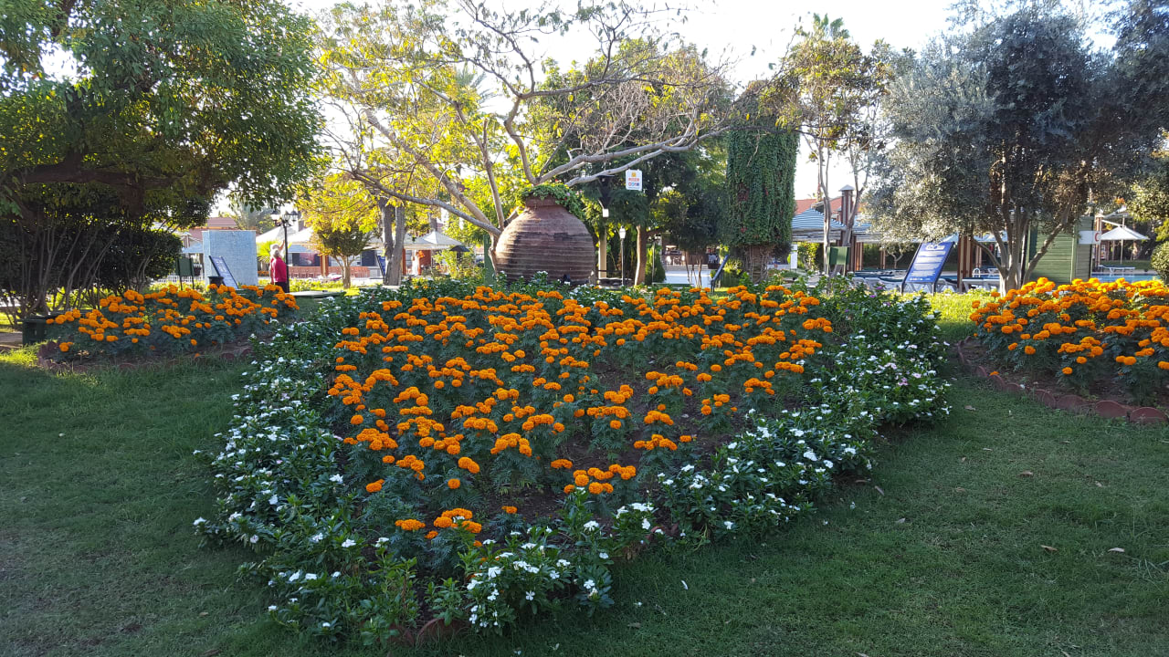 Gartenanlage Belconti Resort Hotel