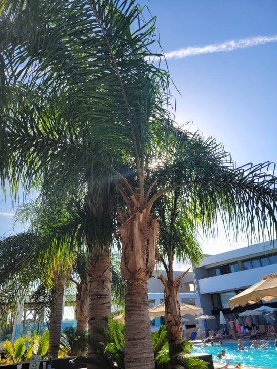 Pool Virginia Family Resort