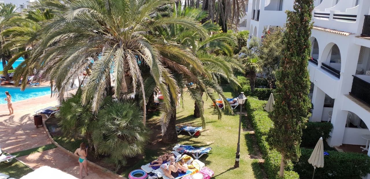 Pool Calimera Fido Gardens