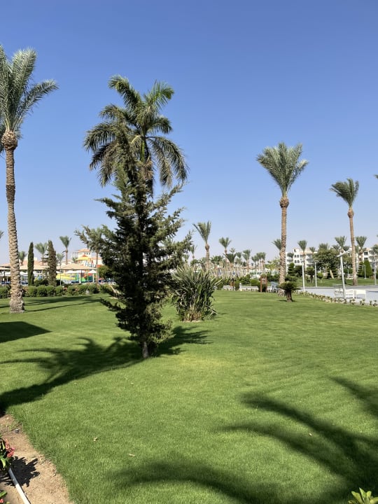 Gartenanlage Pickalbatros Dana Beach Resort - Hurghada