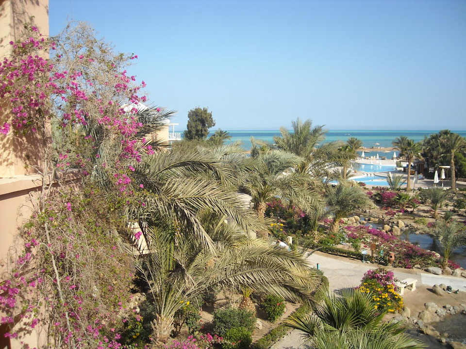 Mövenpick Resort & Spa El Gouna Mövenpick Resort & Spa El Gouna