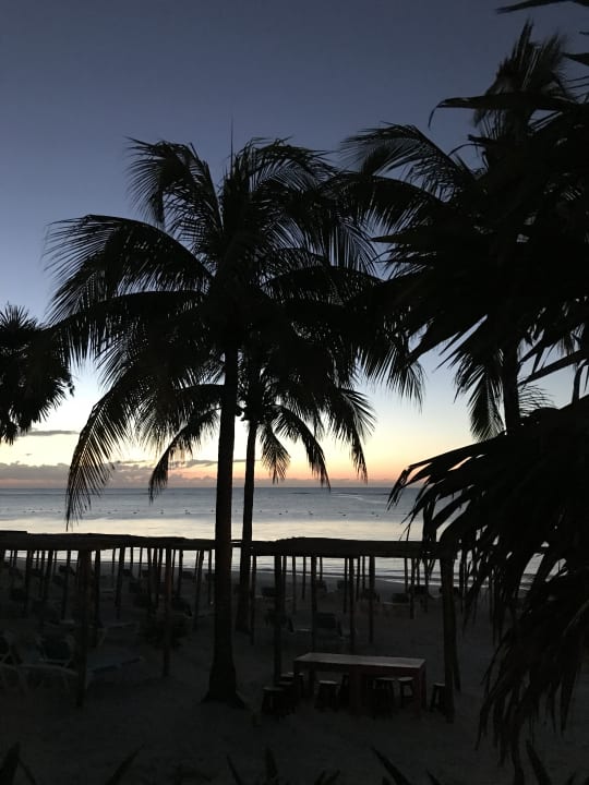 Zimmer Akumal Bay Beach & Wellness Resort