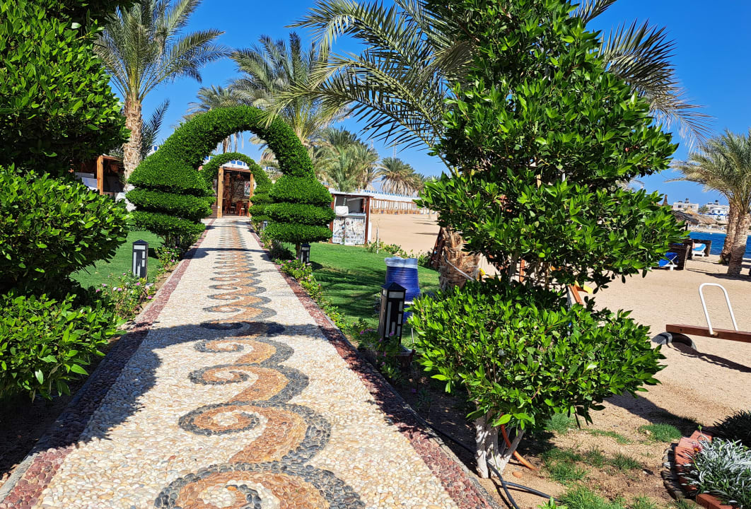 Gartenanlage Coral Sun Beach