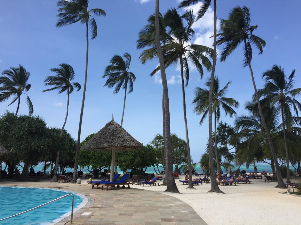 Blick auf den Pool/ Meer Neptune Pwani Beach Resort & Spa