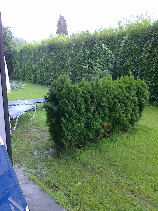 Gartensitzplatz Hotel Albergo Mimosa